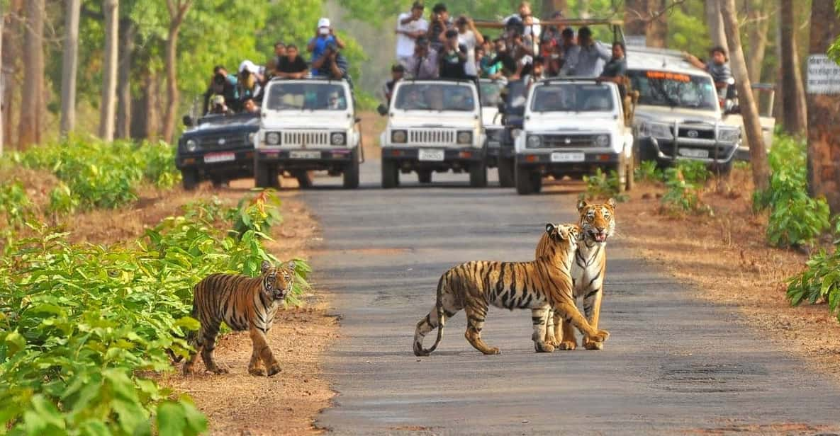 places to visit between delhi and jim corbett