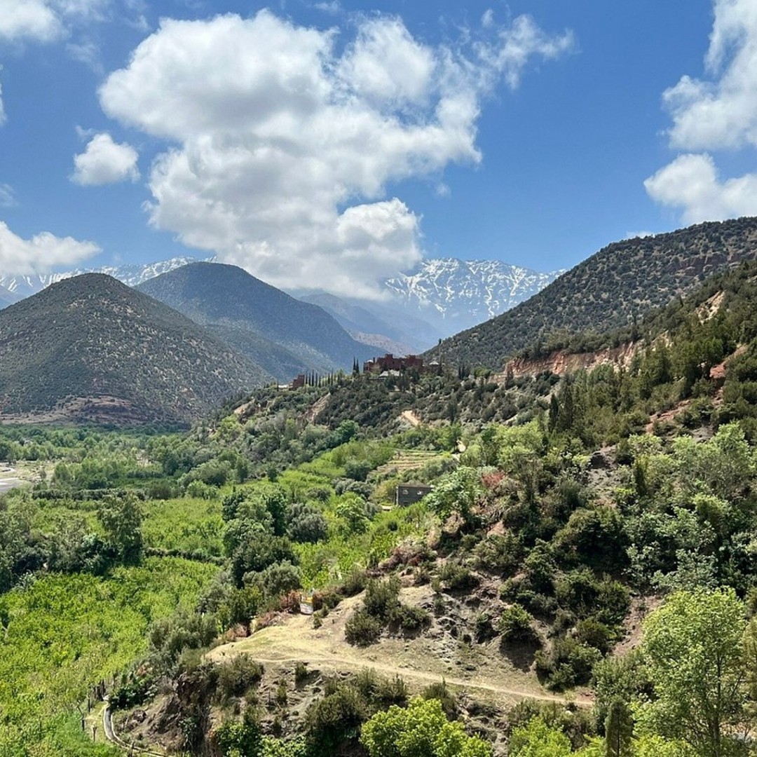 Marrakech : Montagnes de l'Atlas, désert d'Agafay, cascade et déjeuner - dromadaire