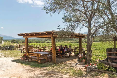 Sardinia: Dorgali Winery Tour with Tasting and Local Guide