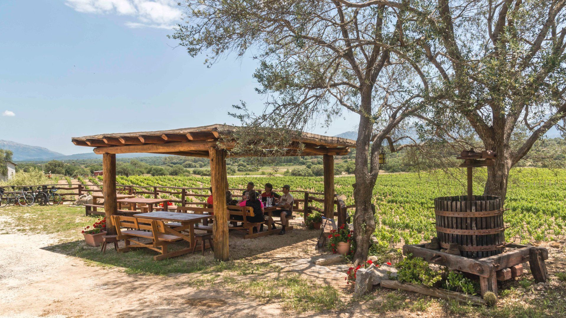 Sardinien: Dorgali Winery Tour mit Verkostung und lokalem Guide