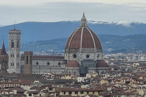 Visite guidée de Florence et Pise