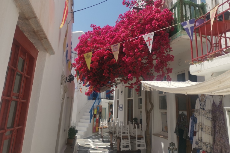 Mykonos: Tailor made tour with luxury car