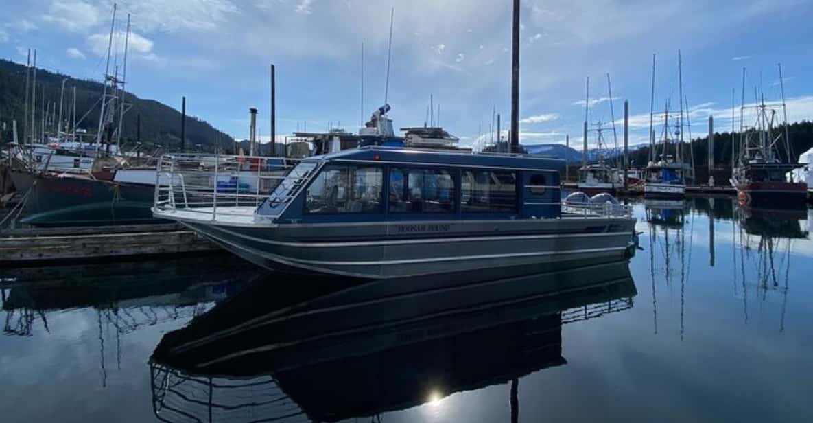 Hoonah Whale Watching Cruise GetYourGuide