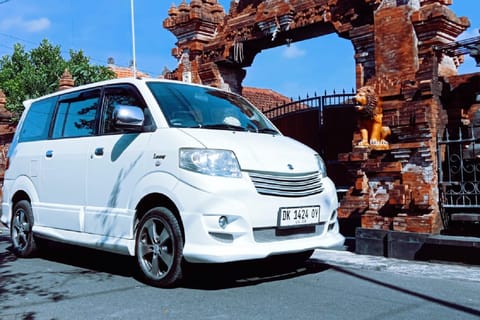 Bali : Ubud Customizable Private Car Tour with Driver
