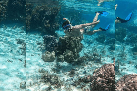 Punta Cana: Heldags snorklingstur på Catalina Island