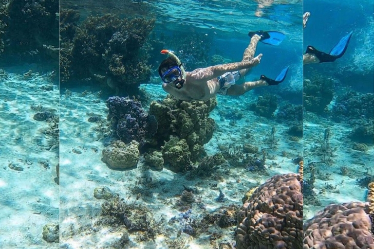 Punta Cana : Journée de plongée en apnée sur l'île de CatalinaPunta Cana : Journée de plongée avec masque et tuba sur l'île de Catalina