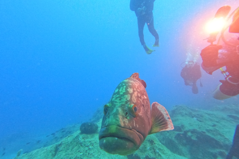 Kas : Plongée sous-marineKas Scuba Diving Session du matin