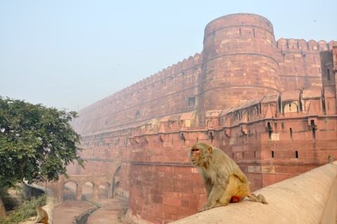 Bez kolejki: Taj Mahal Sunrise Tour z - DelhiWycieczka tylko samochodem