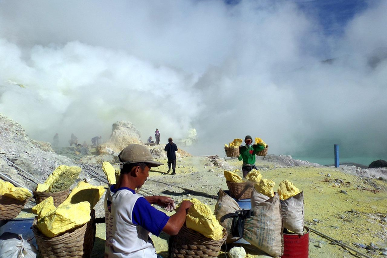 Banyuwangi/Bali: Mount Ijen Midnight Blue Fire Wycieczka z przewodnikiemZ Banyuwangi: Mount Ijen Midnight Blue Fire Wycieczka z przewodnikiem