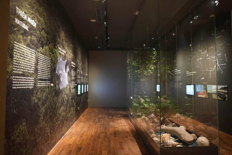 Biglietto di ingresso prioritario al Museo di Da NangBiglietto d'ingresso (senza fila) - Senza audioguida