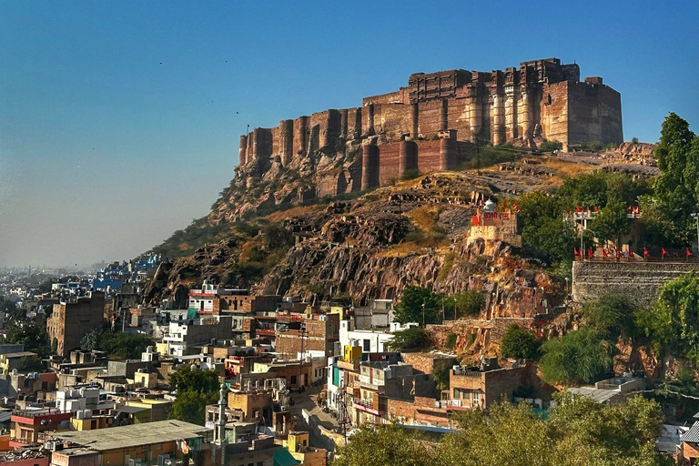 De Délhi: Excursão de 8 dias ao Triângulo Dourado Jodhpur UdaipurSó Transporte e Guia