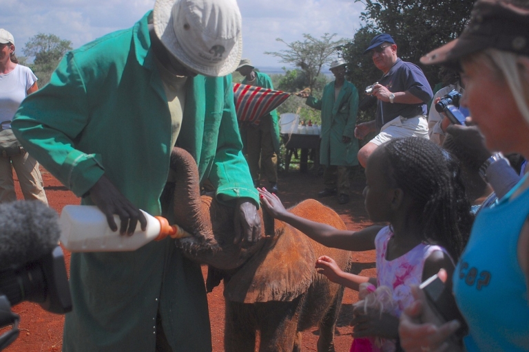 Nairobi : Excursion d'une journée au centre des girafes et à l'orphelinat des éléphants