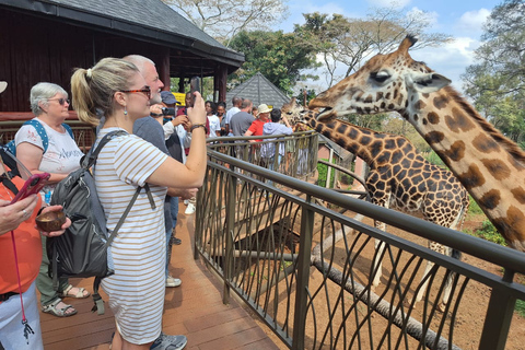 Nairobi national Park, Elephant Orphanage and Giraffe Center