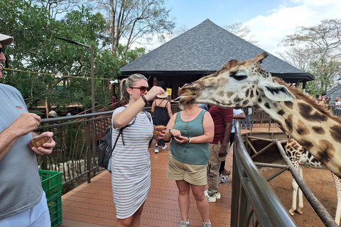 Nairobi national Park, Elephant Orphanage and Giraffe Center