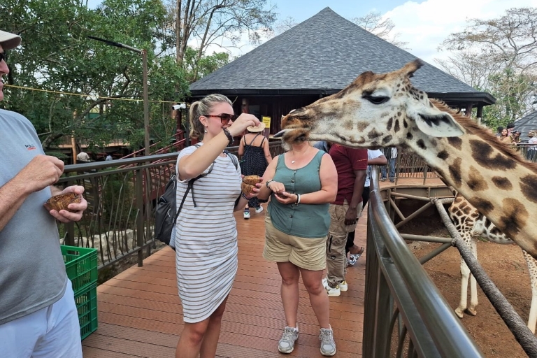 Nairobi national Park, Elephant Orphanage and Giraffe Center