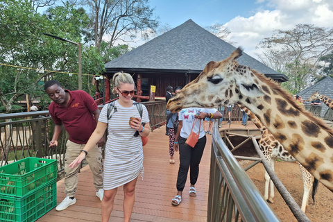 Nairobi national Park, Elephant Orphanage and Giraffe Center