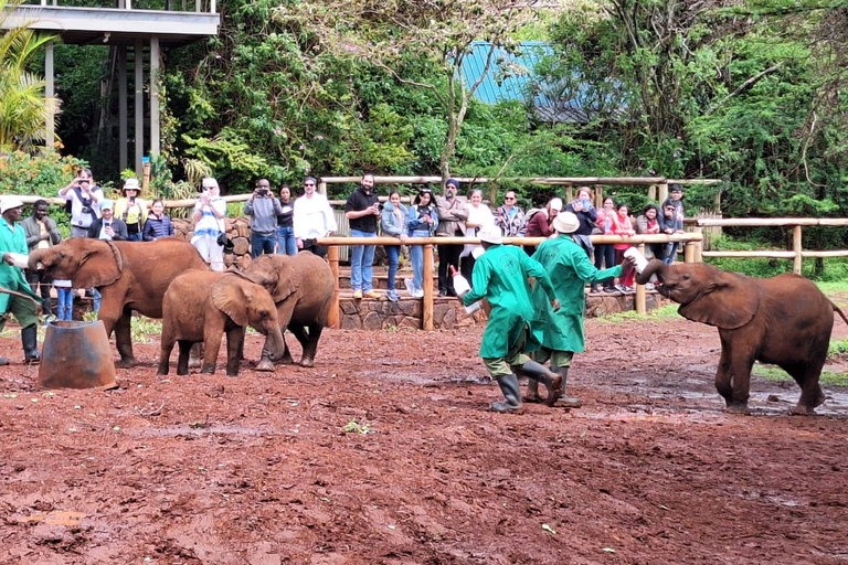 Nairobi national Park, Elephant Orphanage and Giraffe Center