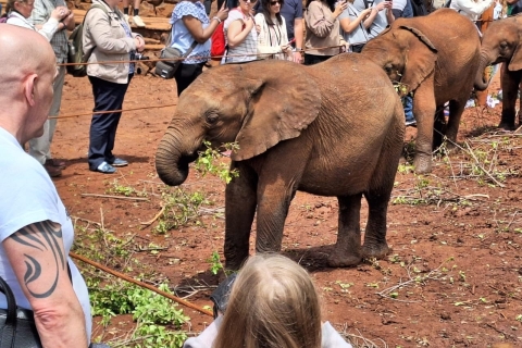 Nairobi national Park, Elephant Orphanage and Giraffe Center