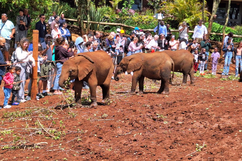 Nairobi national Park, Elephant Orphanage and Giraffe Center