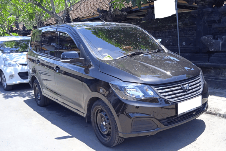 Bali : transfert privé de l'aéroport/du port à Kuta/SeminyakSeminyak, Kerobokan, Batu Belig jusqu'au port de Padangbai