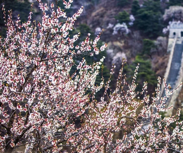 Beijing: Private Roundtrip Transfer to Great Wall of China