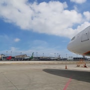 Taipei: Private 7-Hour Layover Tour from TPE Airport