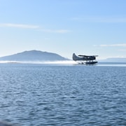 Rotorua: Scenic Flight over Mt Tarawera & Waimangu Valley
