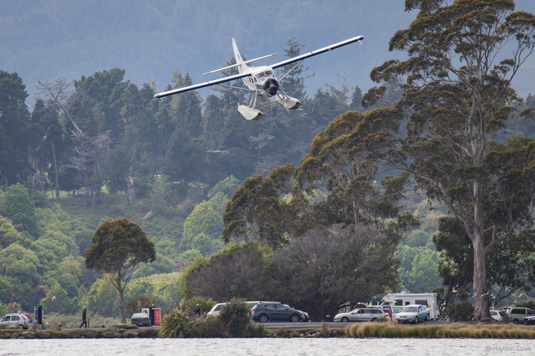 Rotorua: volo panoramico sul monte Tarawera e sulla valle di WaimanguTour del sentiero dell&#039;eruzione della valle vulcanica del Monte Tarawera / Waimangu