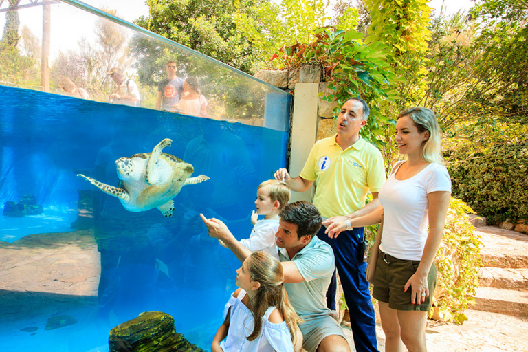 Palma: Palma Aquarium Ticket with Transfer Service Pickup from the North Zone