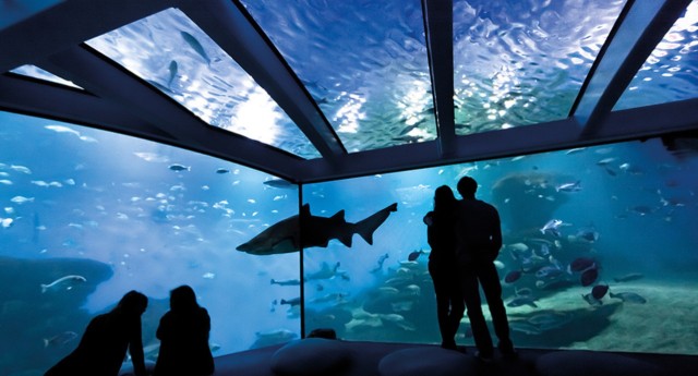 Visit Palma Palma Aquarium Ticket with Transfer Service in Antalya