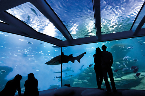 Palma: Palma Aquarium Ticket with Transfer Service Pickup from the North Zone