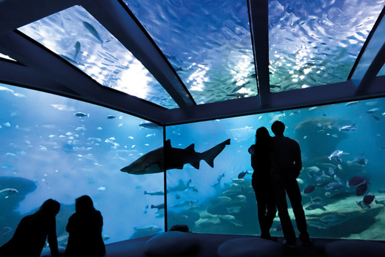 Palma: Palma Aquarium Ticket with Transfer Service Pickup from the North Zone