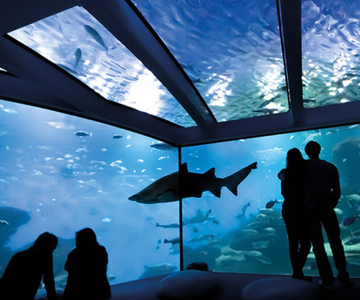 Palma: Palma Aquarium Ticket with Transfer Service