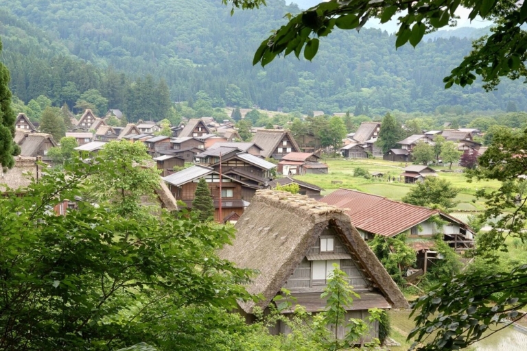Jednodniowa wycieczka z Takayamy: poznaj Takayamę i Shirakakwa-go