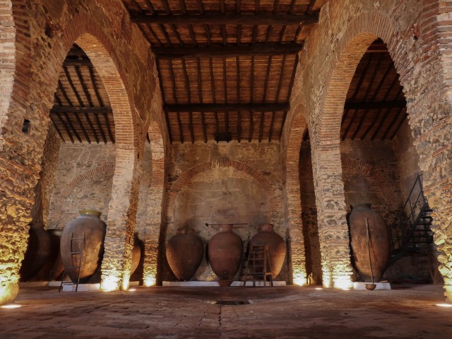 Visit Grande Prova Honrado Vineyards in Abrantes