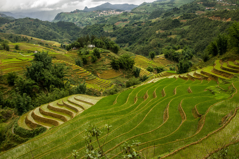 Randonnée dans le village de Red Dao et bain aux herbes