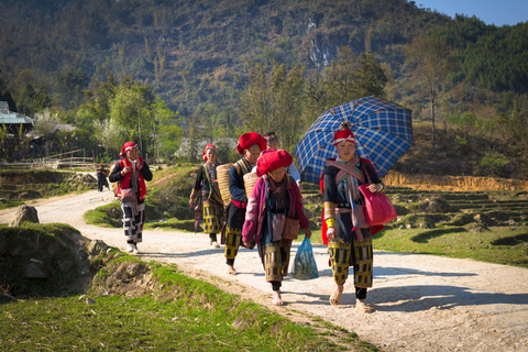 Red Dao Village Trek en kruidenbad