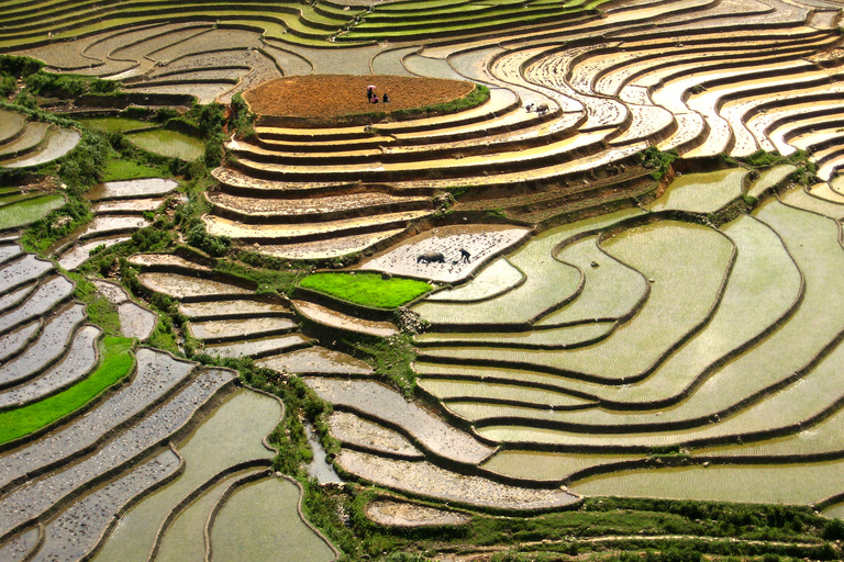 Randonnée dans le village de Red Dao et bain aux herbes