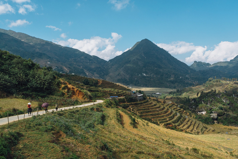 Randonnée dans le village de Red Dao et bain aux herbes