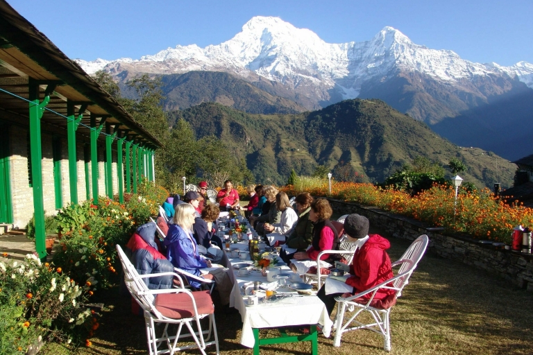 Depuis Katmandou : Camp de base du Mardi HimalTrek du camp de base de l'Annapurna
