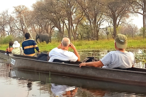 Excursión de 2 días Delta del Okavango 1 noche de acampada Paseo en canoa