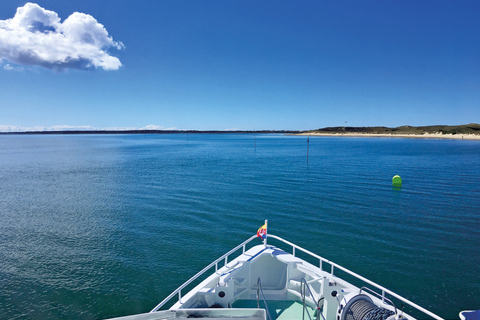 从 Nordstrand 出发：叙尔特岛乘船游览（含可选巴士游览）北海岸：锡尔特岛之旅