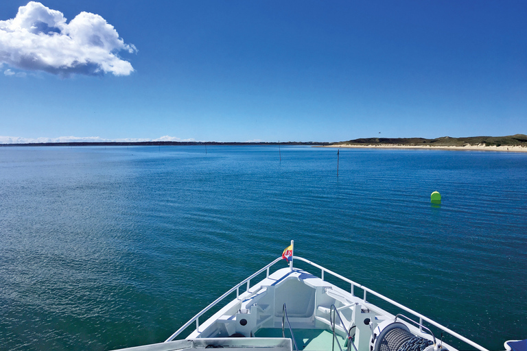 从 Nordstrand 出发：叙尔特岛乘船游览（含可选巴士游览）北海岸：锡尔特岛之旅