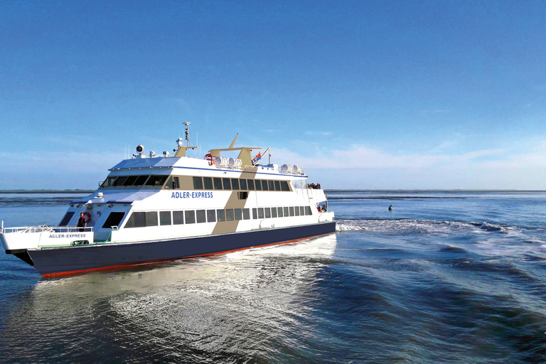 从 Nordstrand 出发：叙尔特岛乘船游览（含可选巴士游览）北海岸：锡尔特岛之旅