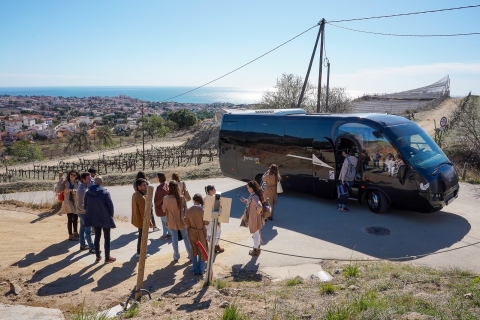 From Barcelona: Catamaran Tour & Winery Visit with Tastings
