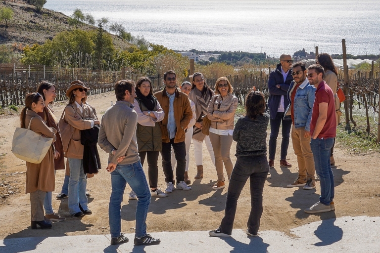 Z Barcelony: wycieczka katamaranem i wizyta w winnicy z degustacjami