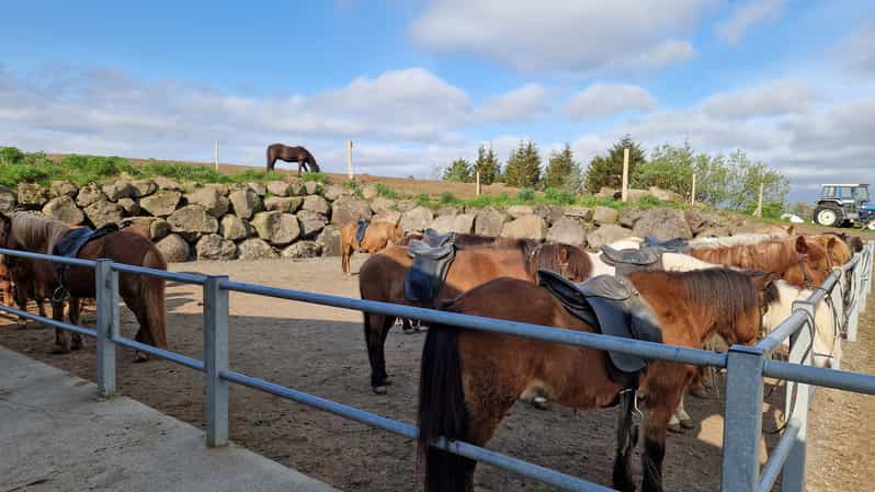 Reykjavik: Red Lava Horse Riding Tour | GetYourGuide