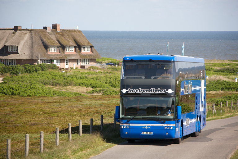 从 Nordstrand 出发：叙尔特岛乘船游览（含可选巴士游览）北海岸：锡尔特岛之旅