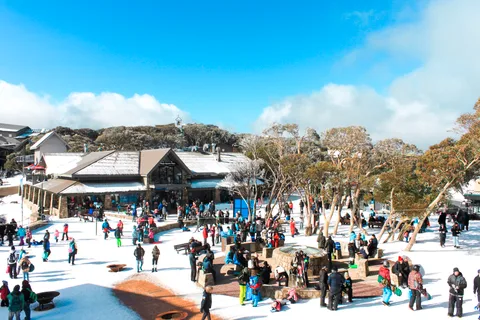 Vanuit Melbourne: begeleide dagtour door Mount Buller