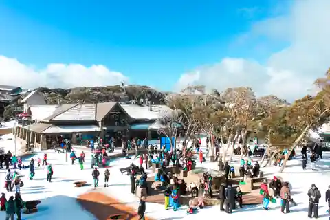 From Melbourne: Mount Buller Guided Day Tour